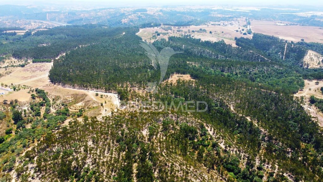 Quinta para Venda em São Salvador e Santa Maria Foto 19