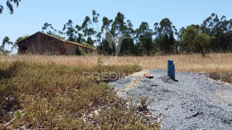 Quinta para Venda em São Salvador e Santa Maria