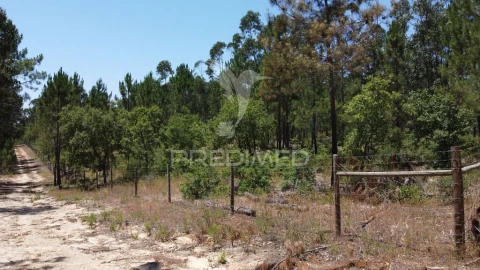 Quinta para Venda em São Salvador e Santa Maria