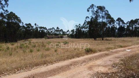 Quinta para Venda em São Salvador e Santa Maria