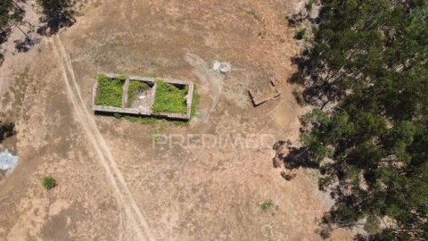 Quinta para Venda em São Salvador e Santa Maria