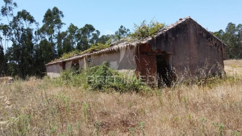 Quinta para Venda em São Salvador e Santa Maria