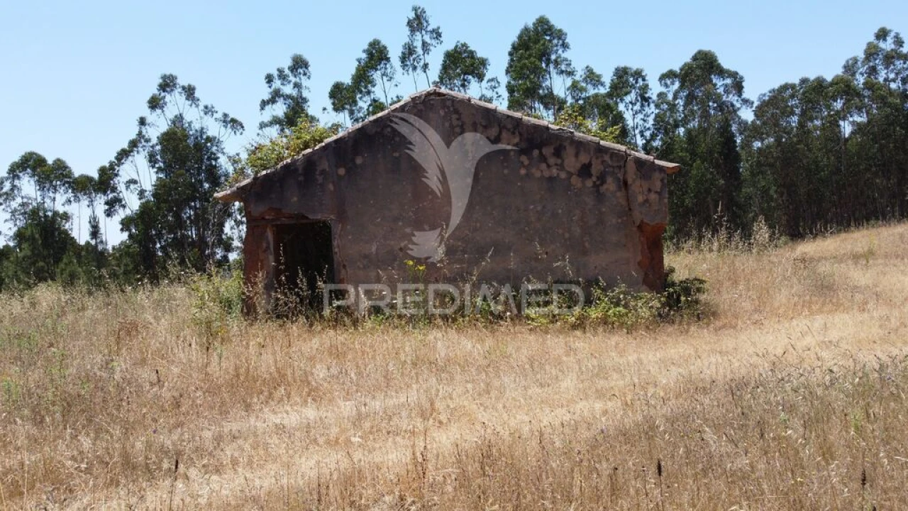Quinta para Venda em São Salvador e Santa Maria Foto 2