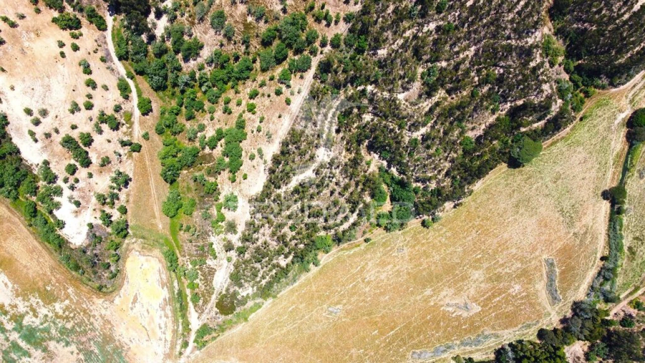Quinta para Venda em São Salvador e Santa Maria Foto 20
