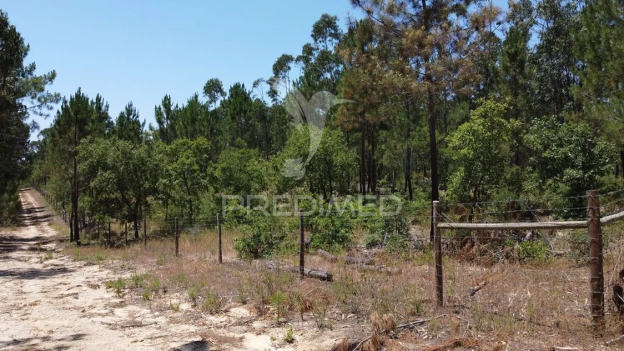 Quinta para Venda em São Salvador e Santa Maria Foto 15