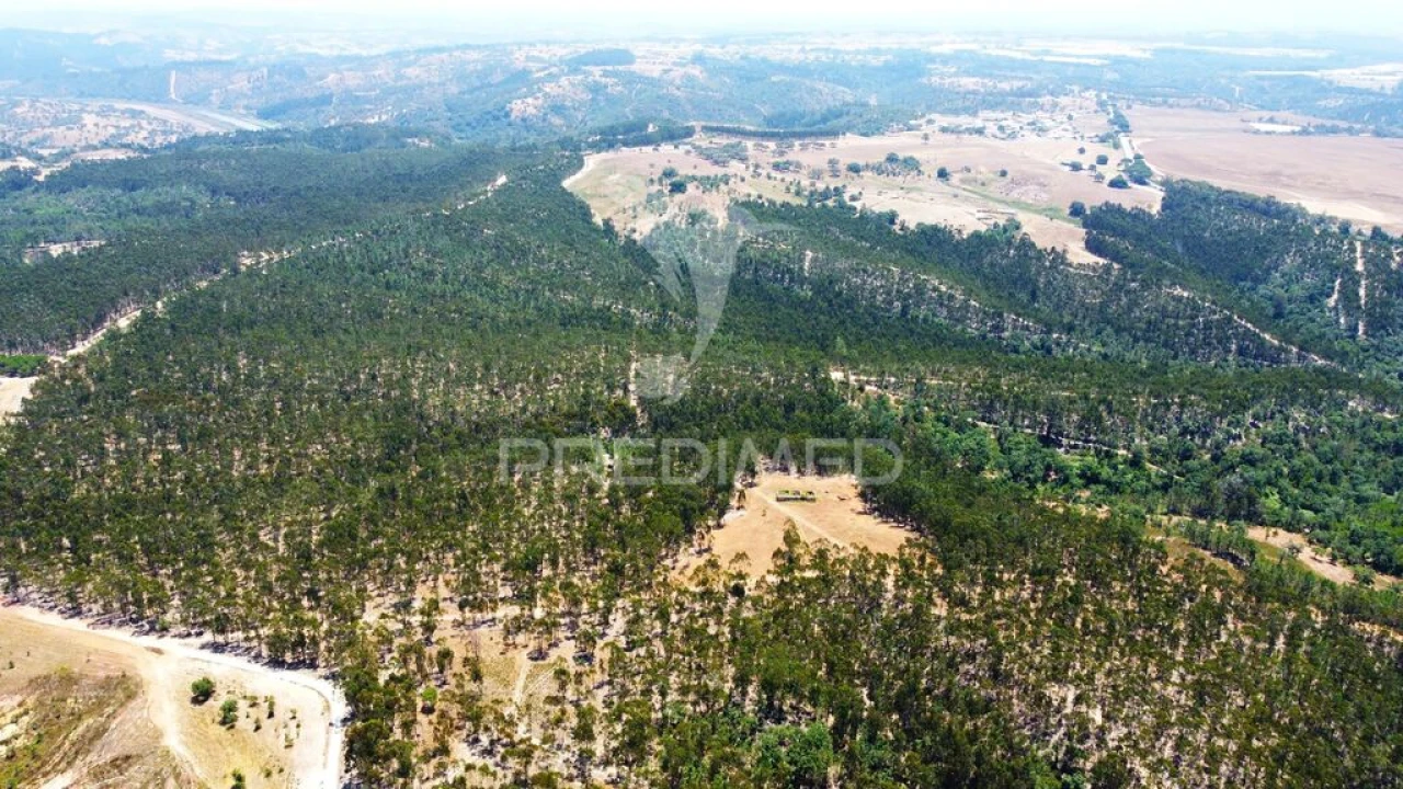 Quinta para Venda em São Salvador e Santa Maria Foto 18