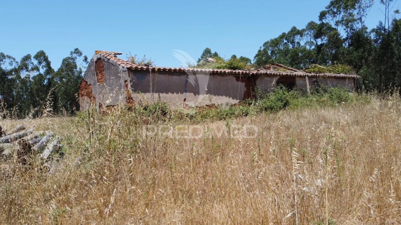 Quinta para Venda em São Salvador e Santa Maria Foto 5