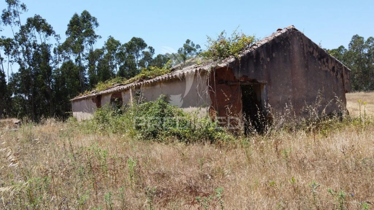 Quinta para Venda em São Salvador e Santa Maria Foto 1