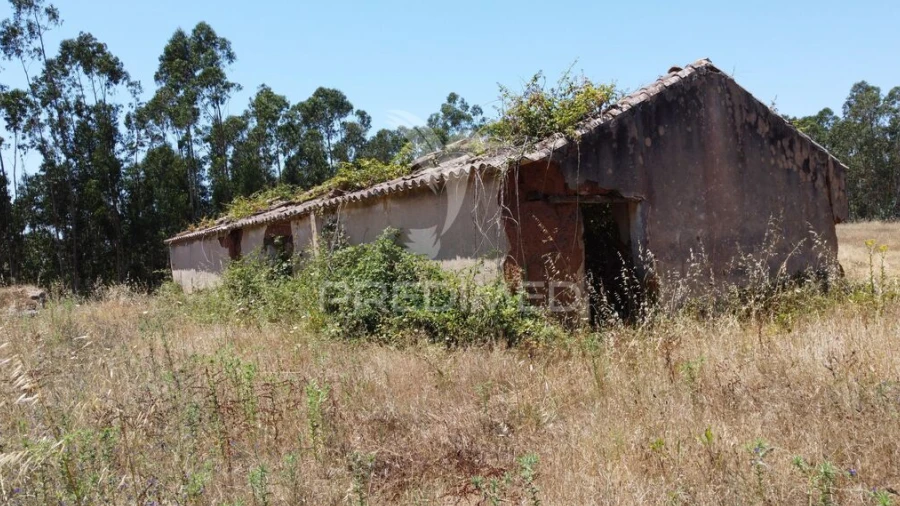 Quinta para Venda em São Salvador e Santa Maria