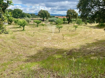 Moradia T5 para Venda em Vale de Prazeres e Mata da Rainha