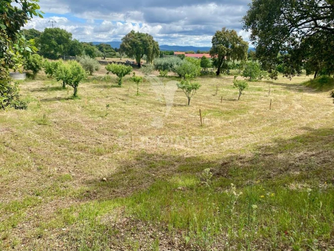 Moradia T5 para Venda em Vale de Prazeres e Mata da Rainha Foto 4