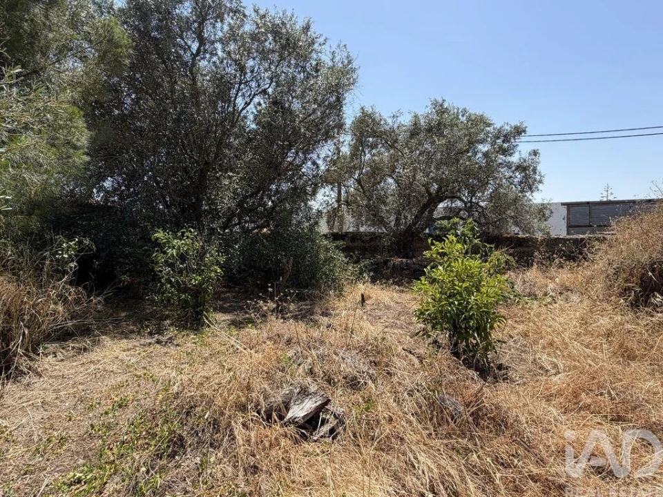 Moradia para Venda em São Marcos da Ataboeira Foto 3