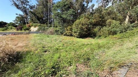 Terreno para Venda em Apúlia e Fão