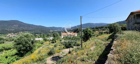 Quinta T4 para Venda em Bárrio e Cepões