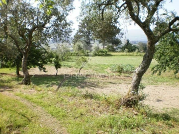 Quinta T6 para Venda em Gouveia (São Pedro e São Julião)