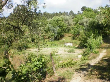 Quinta T6 para Venda em Gouveia (São Pedro e São Julião)
