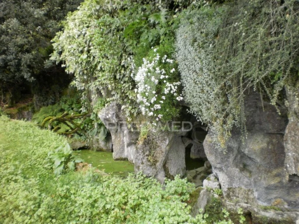 Quinta T6 para Venda em Gouveia (São Pedro e São Julião) Foto 9