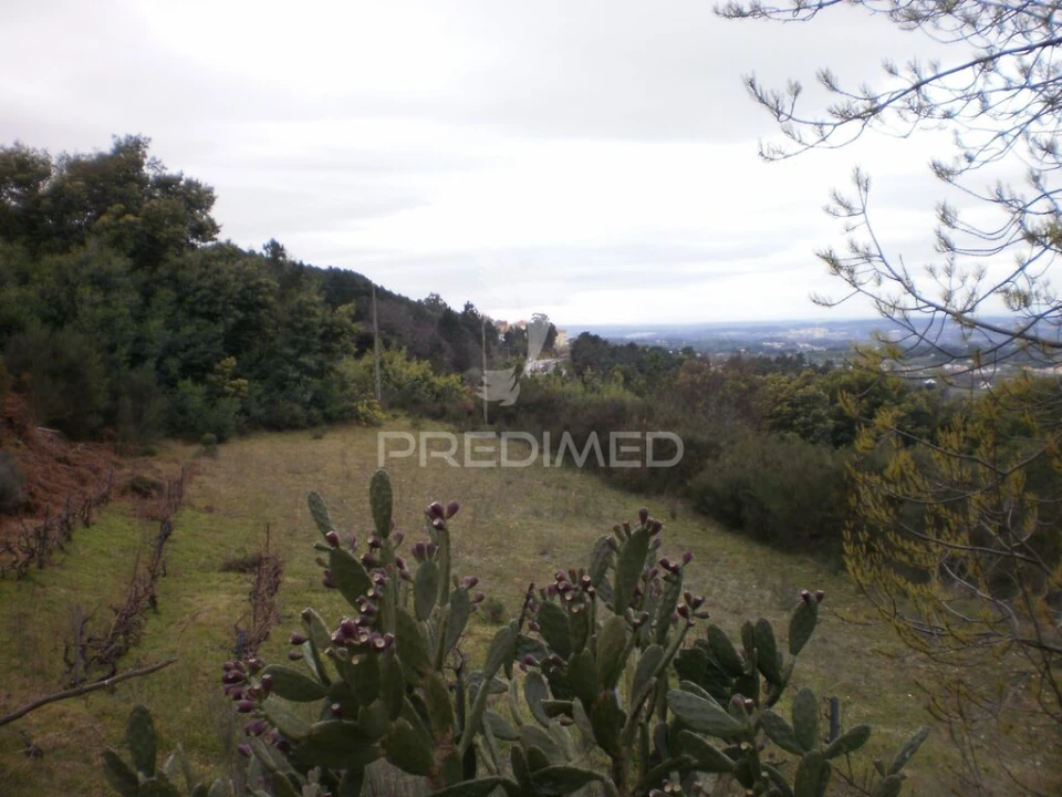 Quinta T6 para Venda em Gouveia (São Pedro e São Julião) Foto 15
