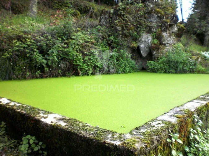 Quinta T6 para Venda em Gouveia (São Pedro e São Julião) Foto 3