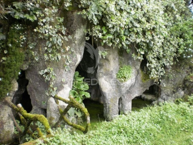 Quinta T6 para Venda em Gouveia (São Pedro e São Julião) Foto 5