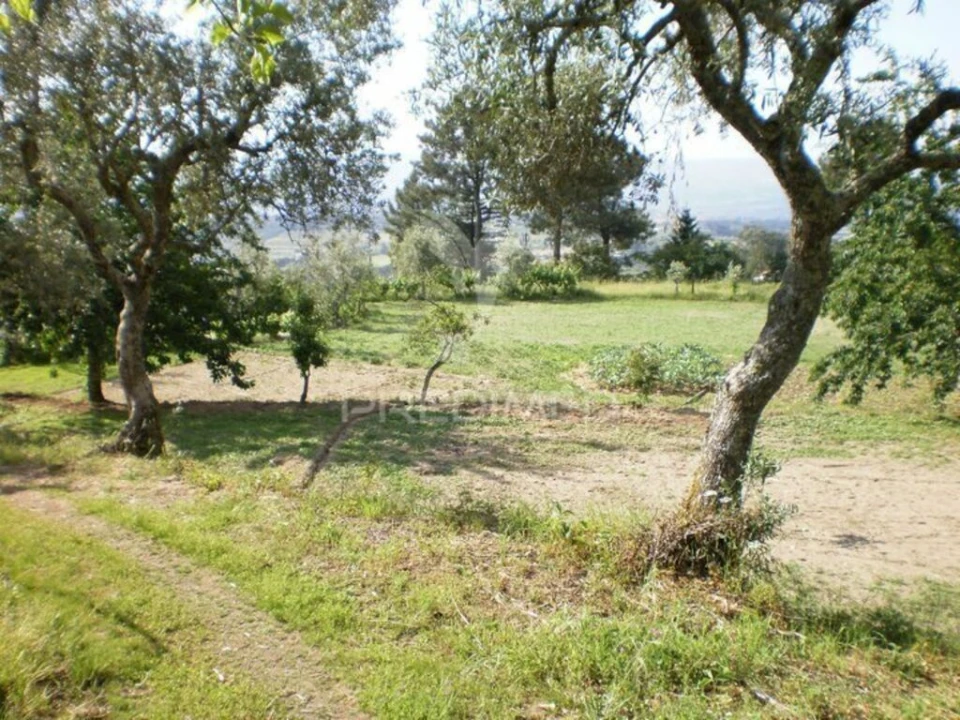 Quinta T6 para Venda em Gouveia (São Pedro e São Julião) Foto 4