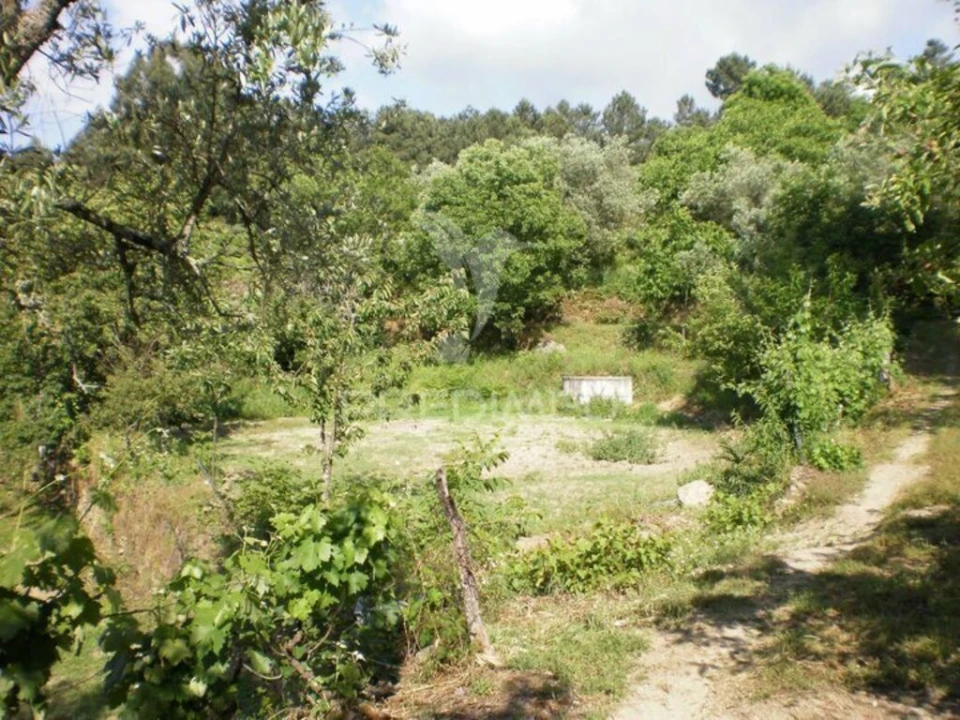 Quinta T6 para Venda em Gouveia (São Pedro e São Julião) Foto 7
