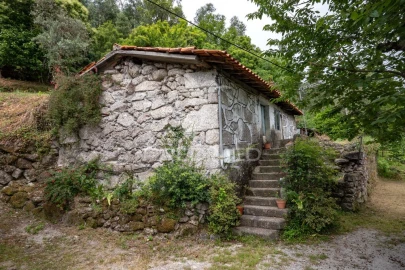 Moradia T3 para Venda em Bouro (Santa Marta)