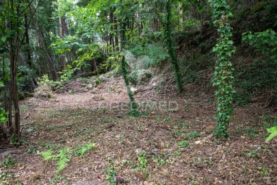 Moradia T3 para Venda em Bouro (Santa Marta)