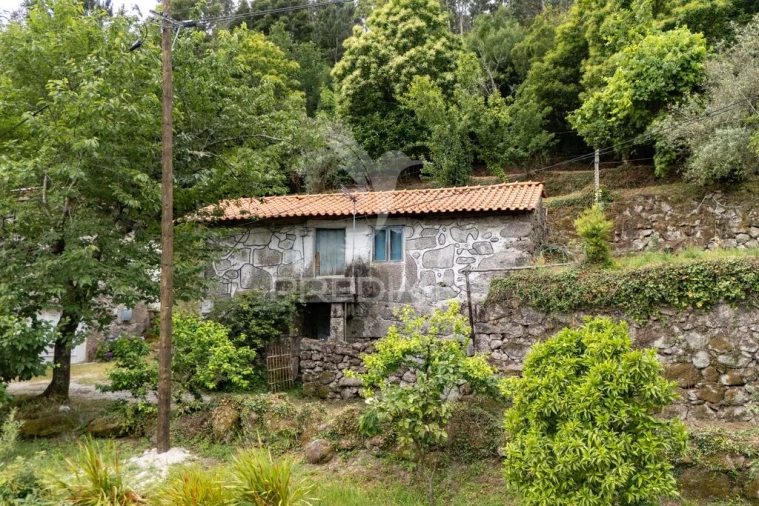 Moradia T3 para Venda em Bouro (Santa Marta) Foto 8