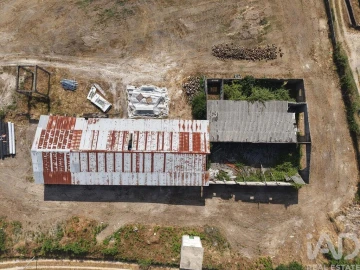 Armazém para Venda em Mangualde, Mesquitela e Cunha Alta