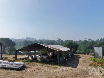 Armazém para Venda em Mangualde, Mesquitela e Cunha Alta