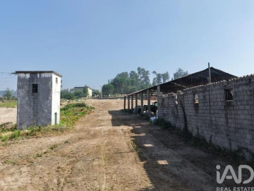 Armazém para Venda em Mangualde, Mesquitela e Cunha Alta