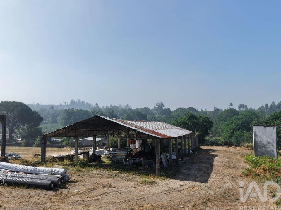 Armazém para Venda em Mangualde, Mesquitela e Cunha Alta Foto 3