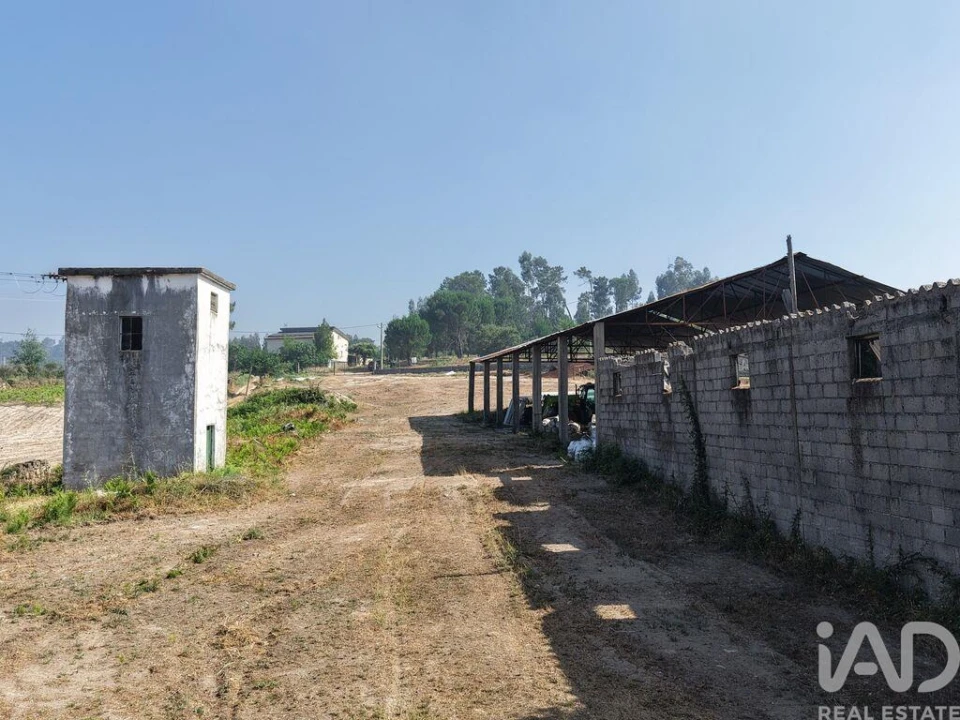 Armazém para Venda em Mangualde, Mesquitela e Cunha Alta Foto 4