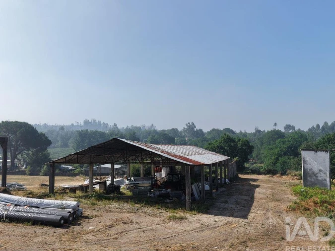 Armazém para Venda em Mangualde, Mesquitela e Cunha Alta Foto 3