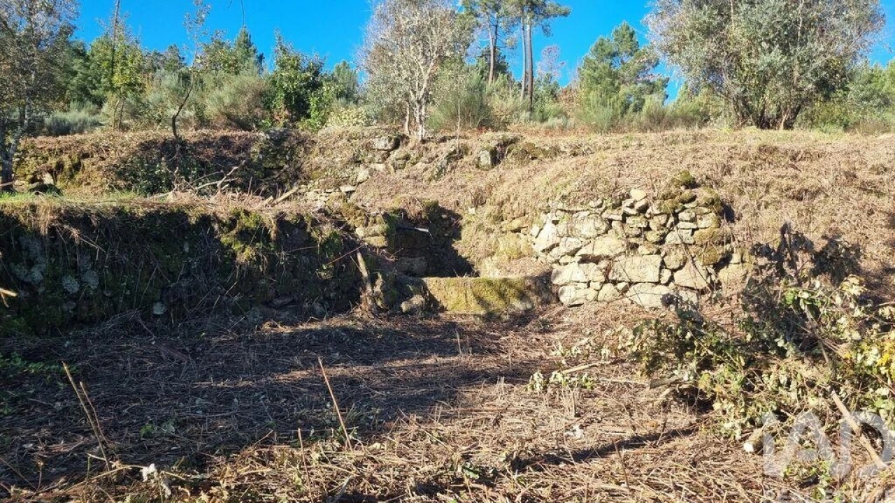 Terreno para Venda em Juncais, Vila Ruiva e Vila Soeiro do Chão Foto 5