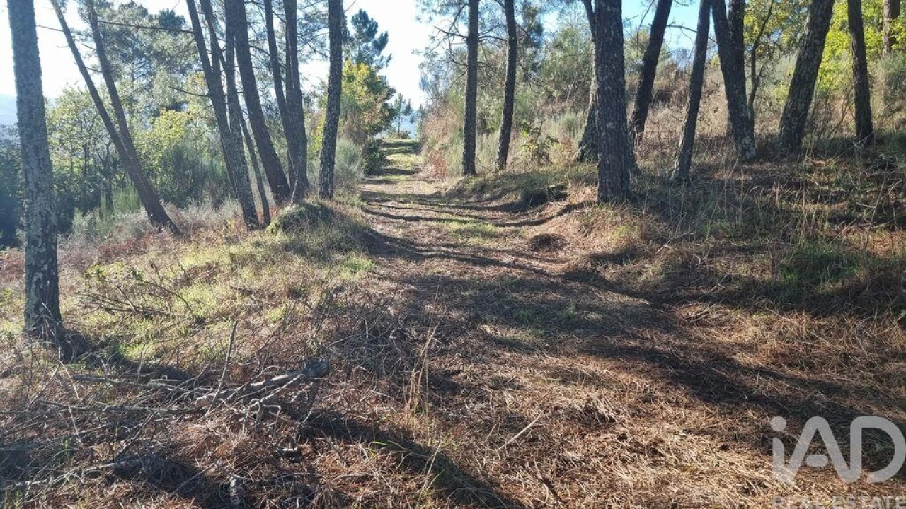 Terreno para Venda em Juncais, Vila Ruiva e Vila Soeiro do Chão Foto 26