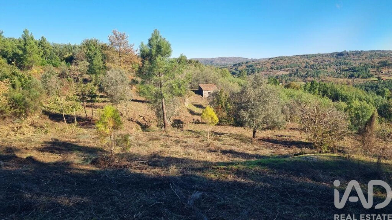 Terreno para Venda em Juncais, Vila Ruiva e Vila Soeiro do Chão Foto 10