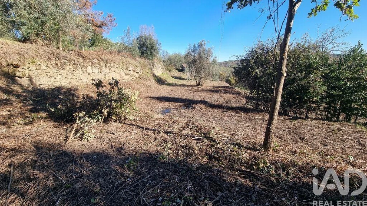 Terreno para Venda em Juncais, Vila Ruiva e Vila Soeiro do Chão Foto 17