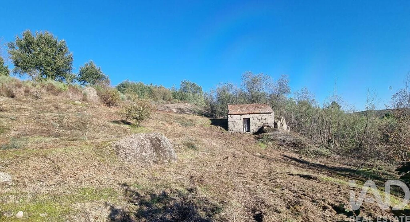 Terreno para Venda em Juncais, Vila Ruiva e Vila Soeiro do Chão Foto 15