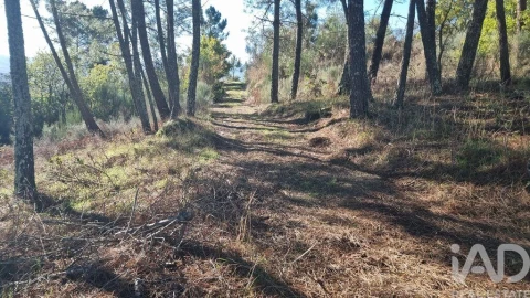Terreno para Venda em Juncais, Vila Ruiva e Vila Soeiro do Chão