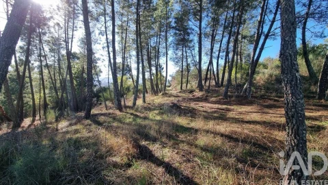 Terreno para Venda em Juncais, Vila Ruiva e Vila Soeiro do Chão