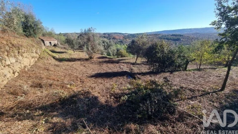 Terreno para Venda em Juncais, Vila Ruiva e Vila Soeiro do Chão