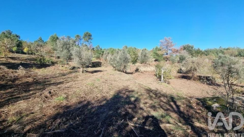 Terreno para Venda em Juncais, Vila Ruiva e Vila Soeiro do Chão