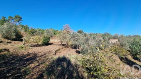Terreno para Venda em Juncais, Vila Ruiva e Vila Soeiro do Chão