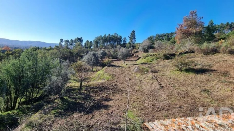 Terreno para Venda em Juncais, Vila Ruiva e Vila Soeiro do Chão
