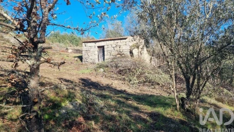 Terreno para Venda em Juncais, Vila Ruiva e Vila Soeiro do Chão