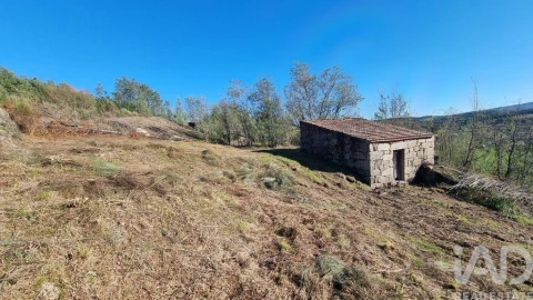 Terreno para Venda em Juncais, Vila Ruiva e Vila Soeiro do Chão