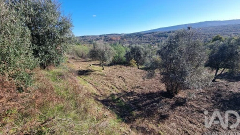 Terreno para Venda em Juncais, Vila Ruiva e Vila Soeiro do Chão