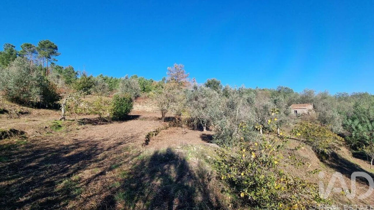 Terreno para Venda em Juncais, Vila Ruiva e Vila Soeiro do Chão Foto 12
